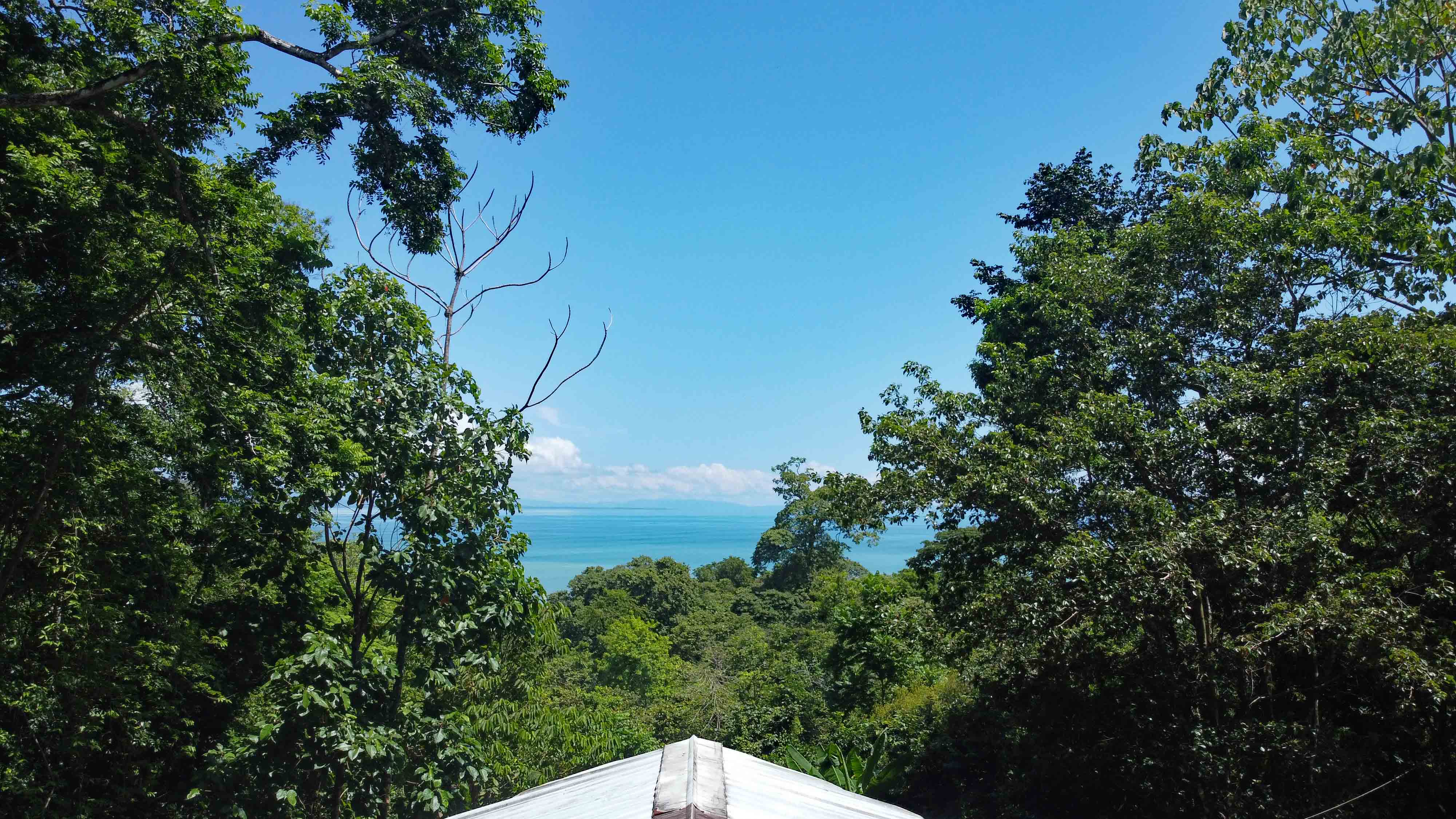 Aerial view of the Pavones property