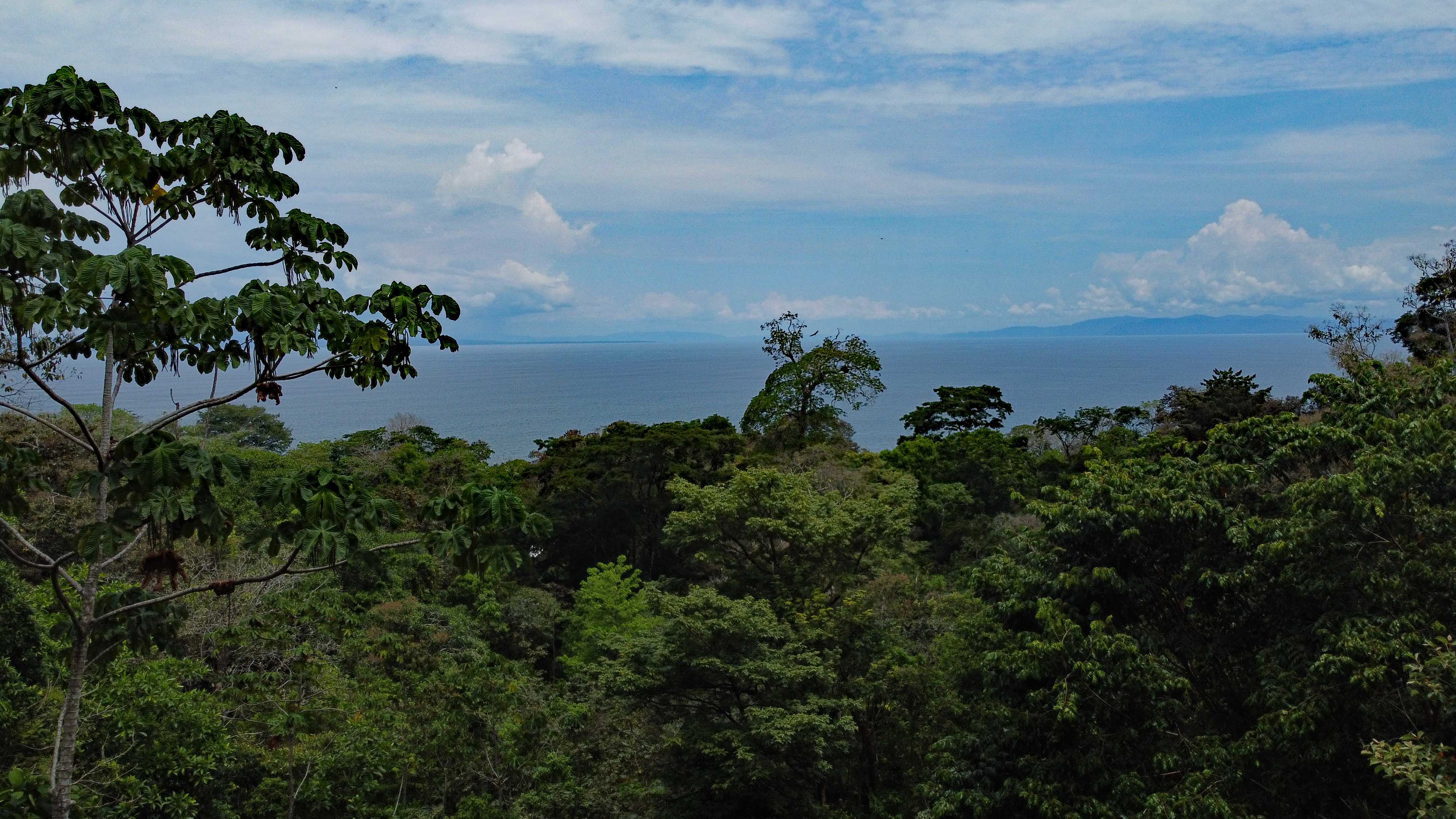 Pacific horizon seen from the property