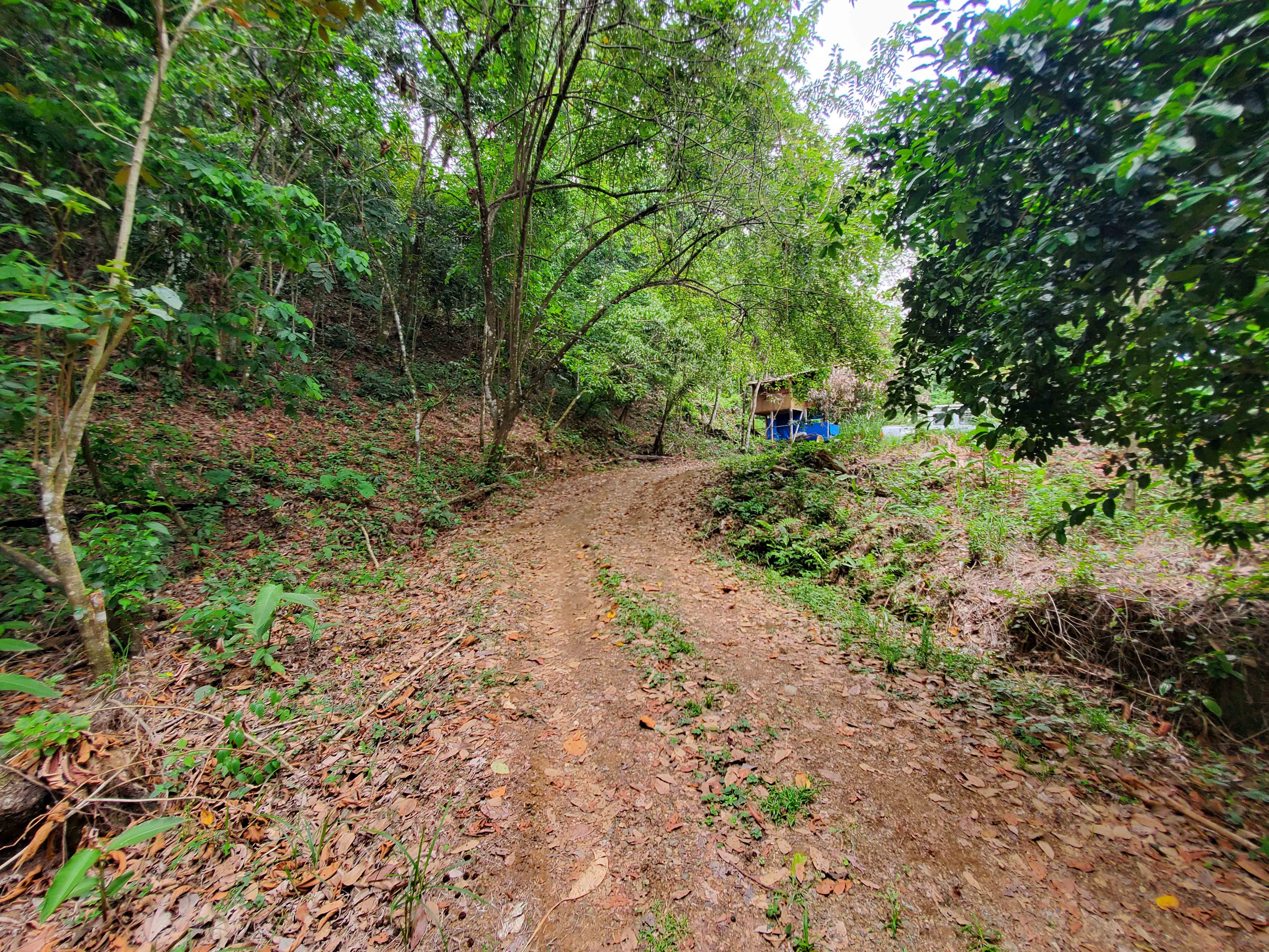Access road